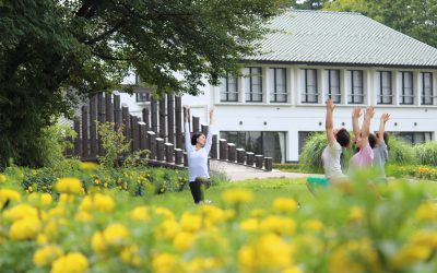 朝ヨガ&無料クラス&ワンコインクラスへぜひお越しください！